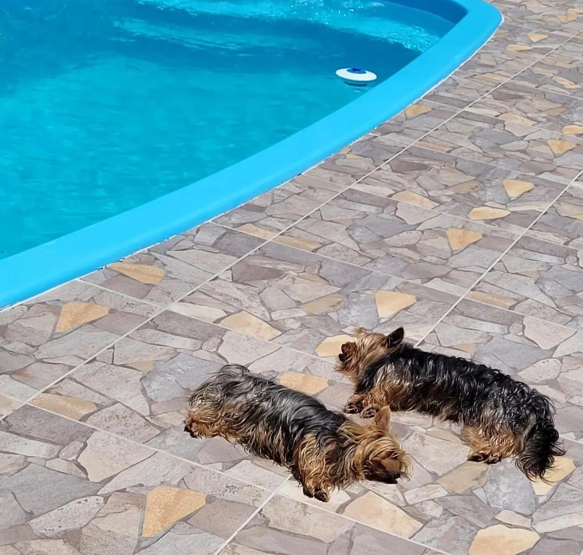 Vakantiehuis Casa Com Piscina Balneario Barra Do Sul Villa Brazilië